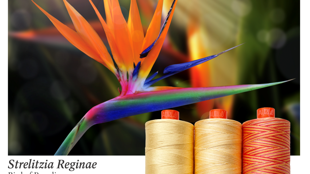 AURIFIL - Thread Color Builder 2022: July Bird of Paradise - Strelitzia reginae