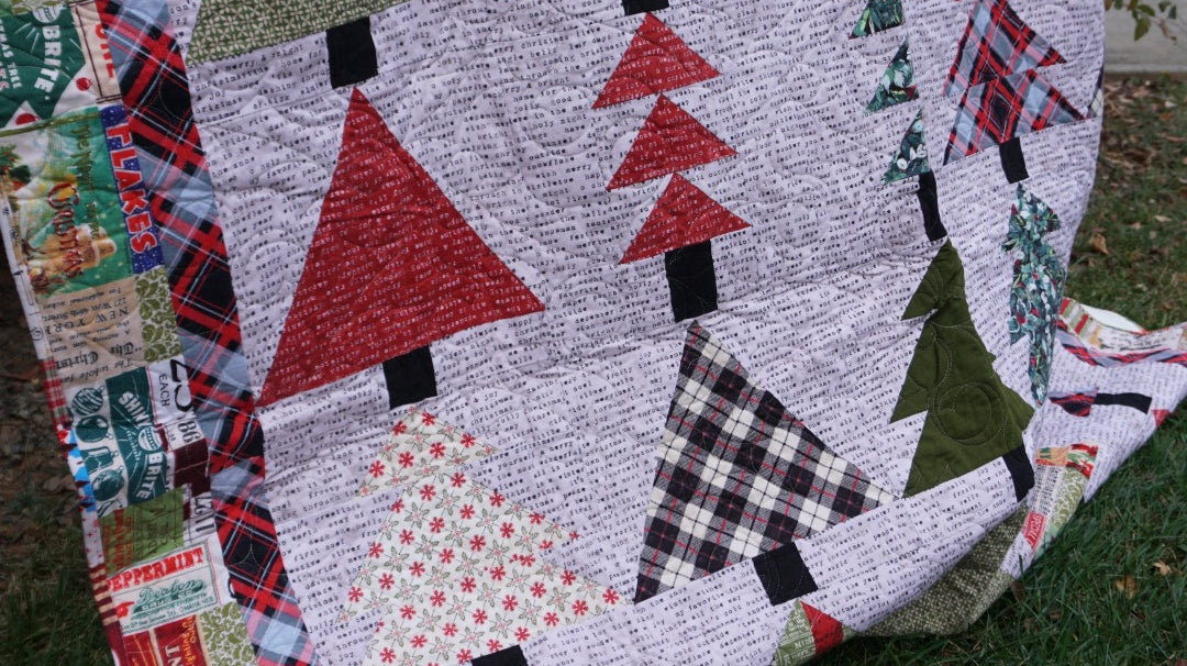 TIM HOLTZ - WONDERLAND - WINTER DREAM QUILT KIT