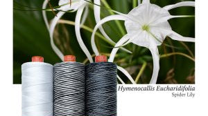 AURIFIL - Thread Color Builder 2022: December - Hymenocallis Eucharidifolia, Spider Lily