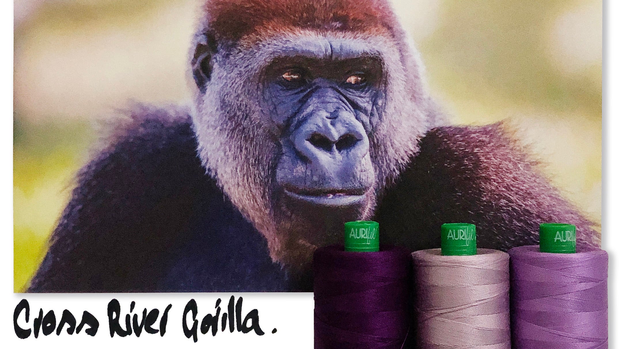 AURIFIL - THREAD COLOR BUILDER 2021: OCTOBER - CROSS RIVER GORILLA