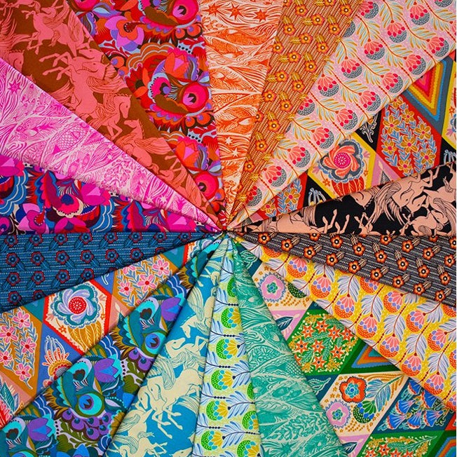 ANNA MARIA PARRY - Shooting Star