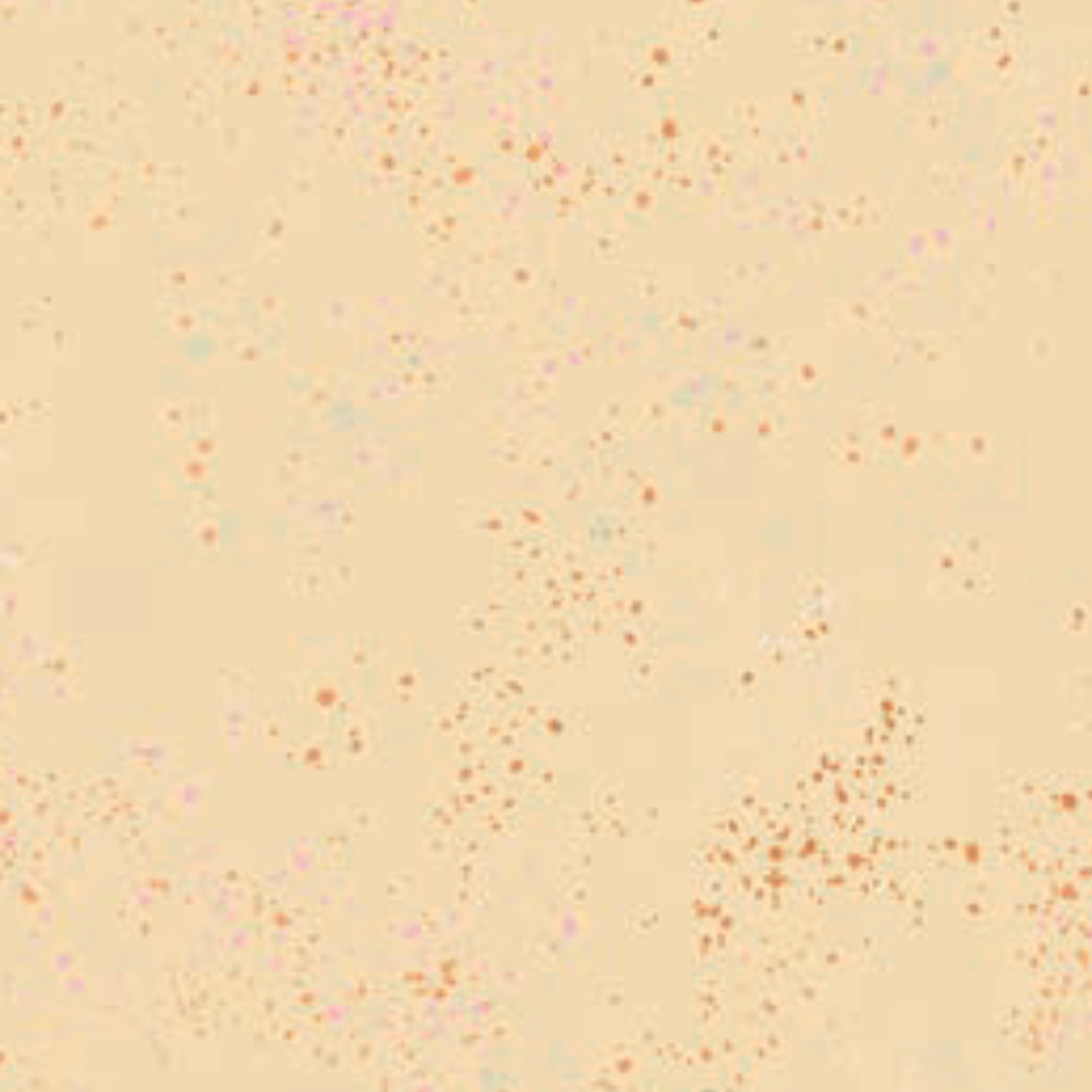 RUBY STAR SOCIETY - RASHIDA COLEMAN HALE - SPECKLED METALLIC - Parchment  5027M-97