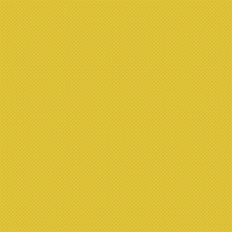 RUBY STAR SOCIETY - MEADOW STAR, BIJOU