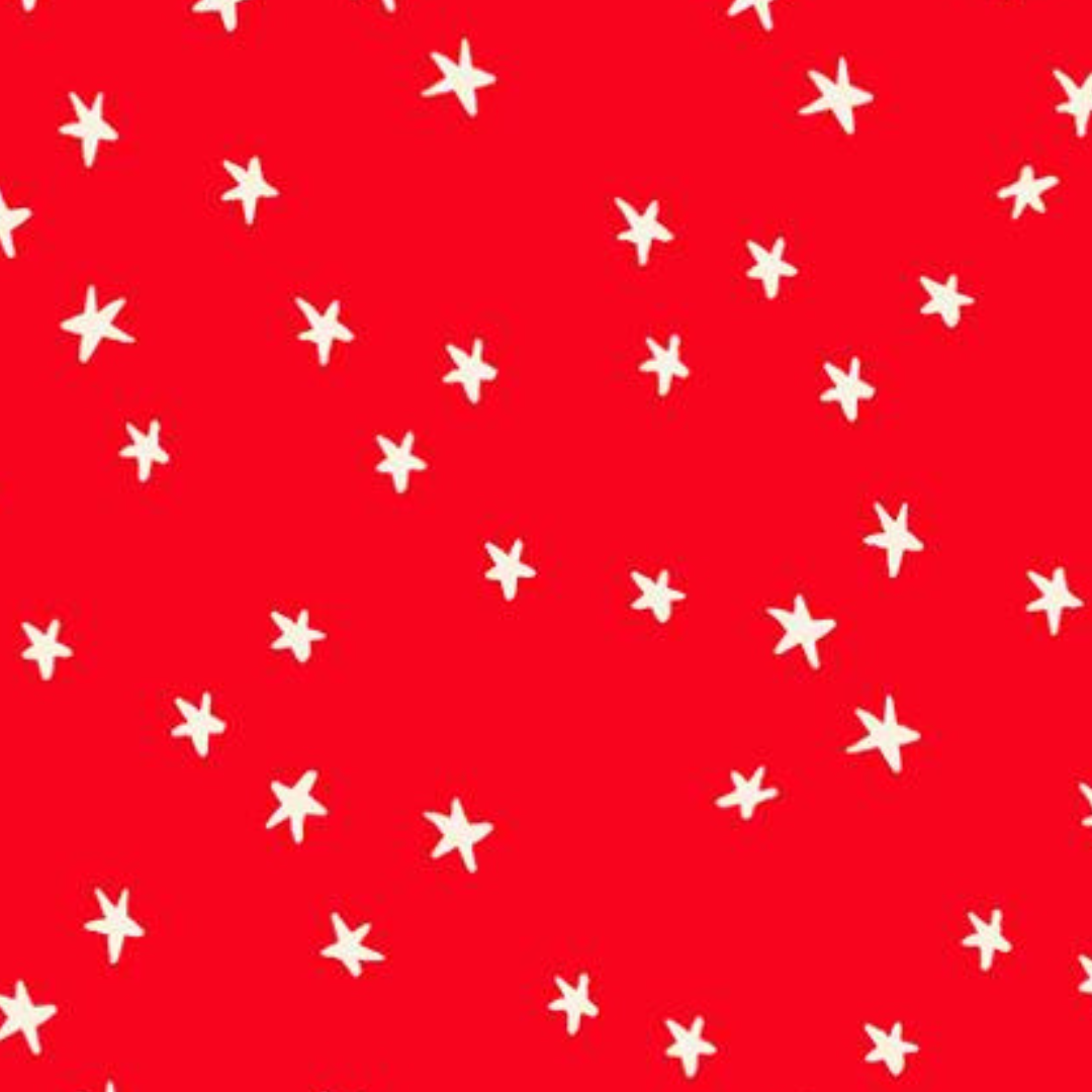 RUBY STAR SOCIETY - ALEXIA ABEGG - Starry New Colour - Ladybug 54109-74