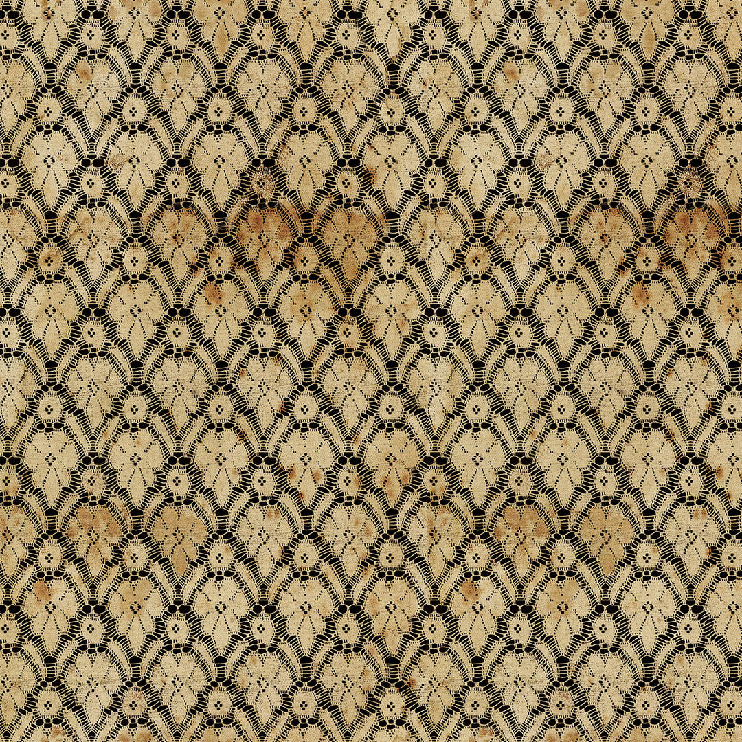 TIM HOLTZ - LABORATORY - Tattered Canvas, Neutral