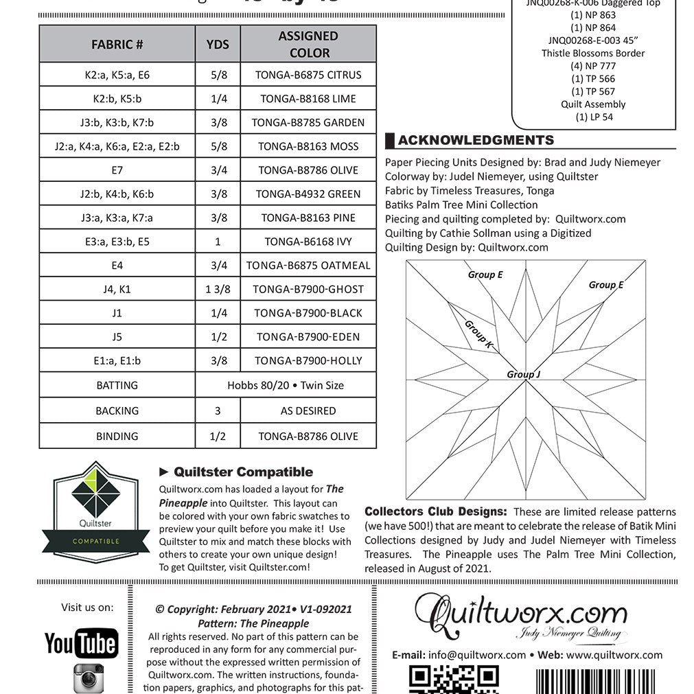 QUILTWORX.COM - The Pineapple Pattern JNQ00268P16