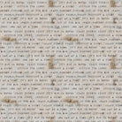 SETH APTER - LIVE OUT LOUD - Mantra, Paper