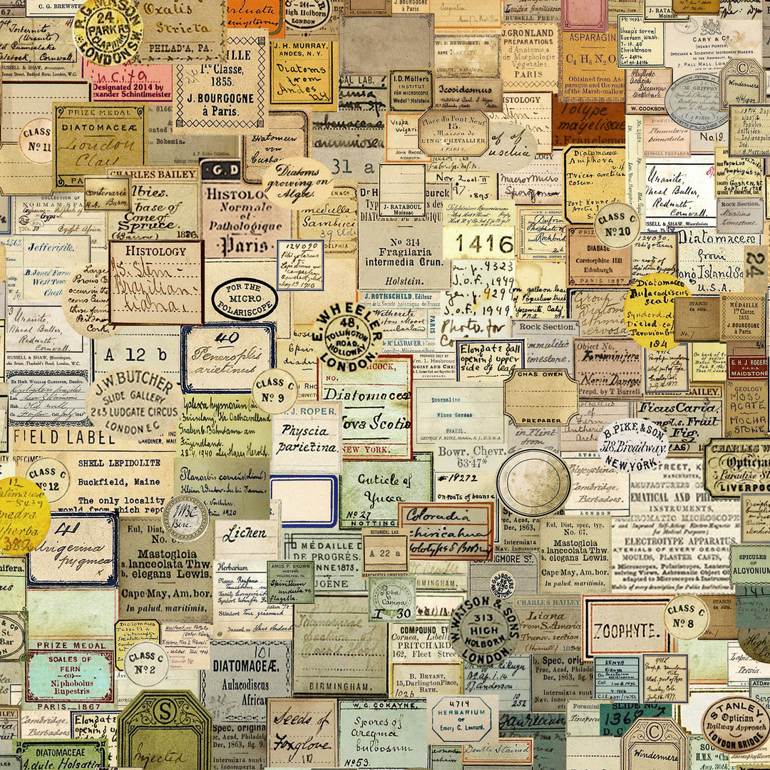 TIM HOLTZ - LABORATORY - Curator, Multi