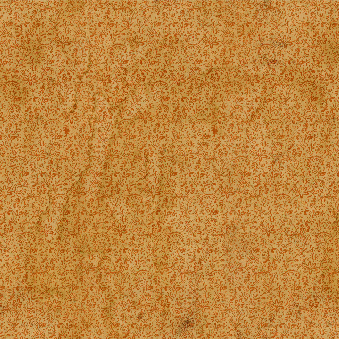 TIM HOLTZ - LABORATORY - Flourish, Orange