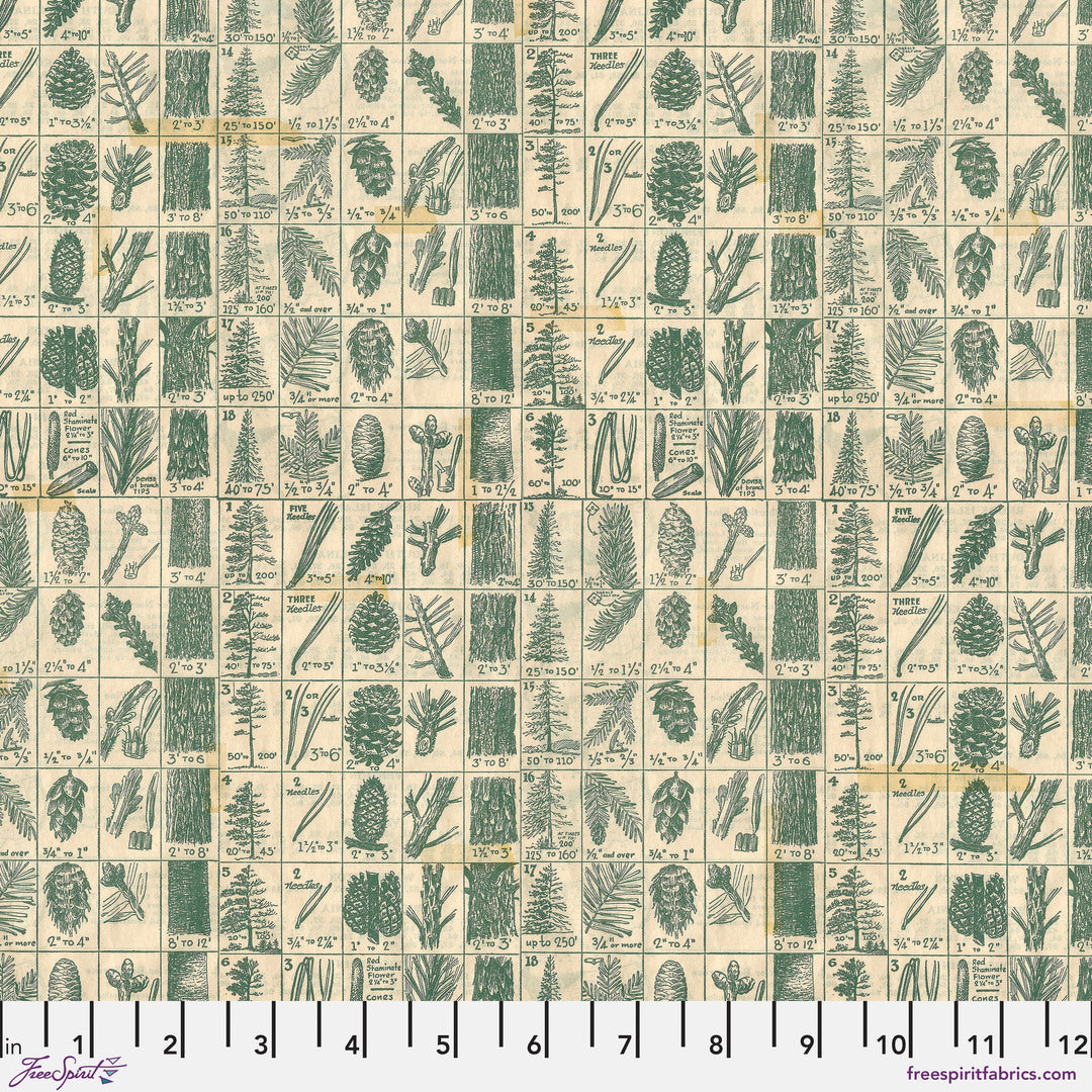 TIM HOLTZ - HOLIDAY PAST - Pine Chart, Green