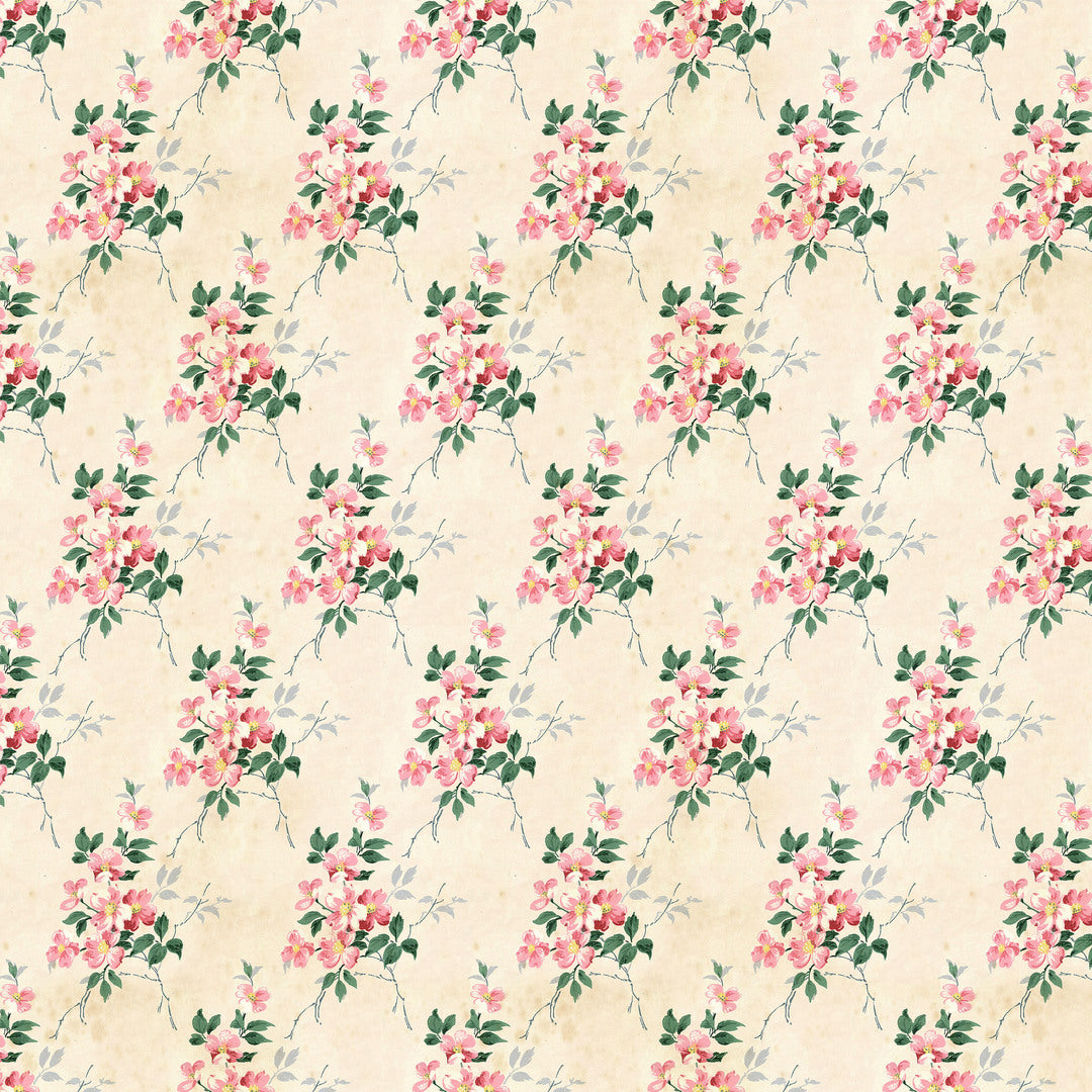 TIM HOLTZ - Palette Pink - Pink, Wallpaper
