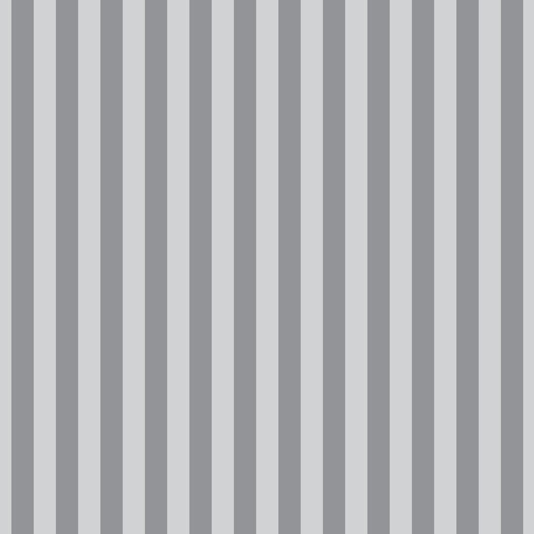 TULA PINK - Graywork - Tent Stripe, Fog PWTP069.FOG