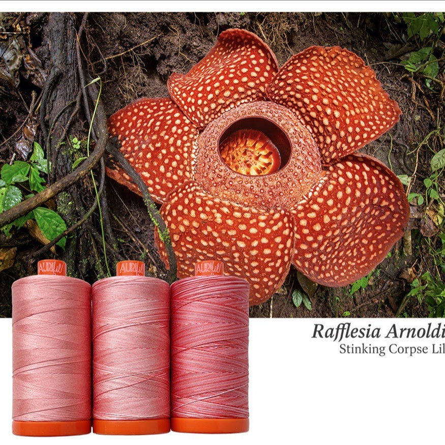 AURIFIL - Thread Color Builder 2022: FEBRUARY Stinking Corpse Lily - Artistic Quilts with Color
