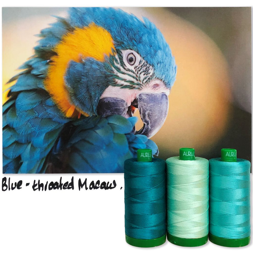 AURIFIL - Thread Color Builder 2021: August - Blue-Throated Macaw - Artistic Quilts with Color