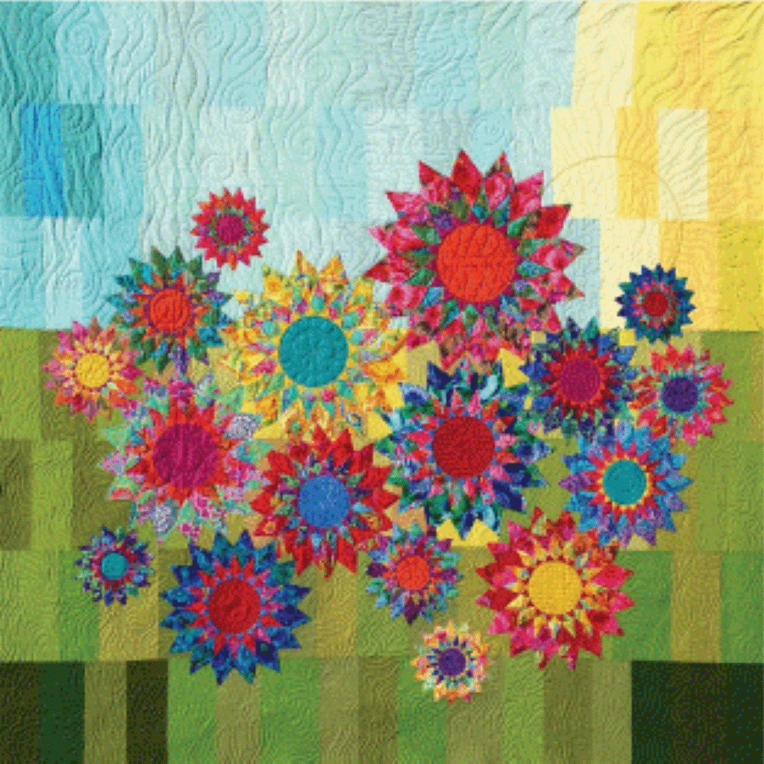 ROBIN RUTH DESIGNS - FAT ROBIN 16-POINT MARINER'S COMPASS BOOK AND RULER COMBO - Artistic Quilts with Color