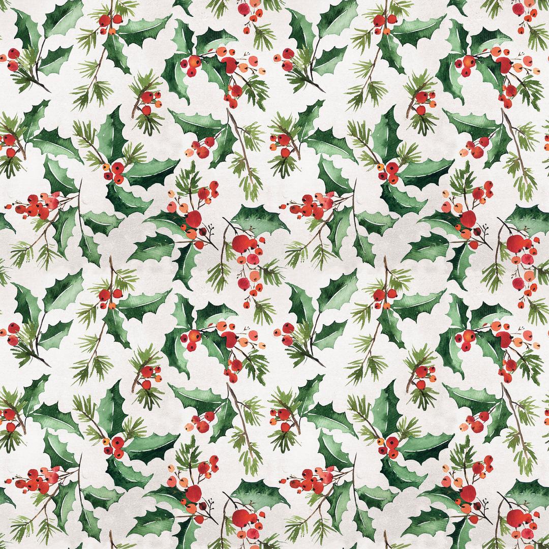 TIM HOLTZ - WONDERLAND - Jolly Holy