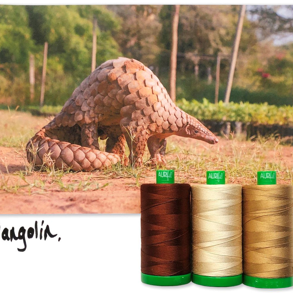 AURIFIL - Thread Color Builder 2021: November - Pangolin - Artistic Quilts with Color