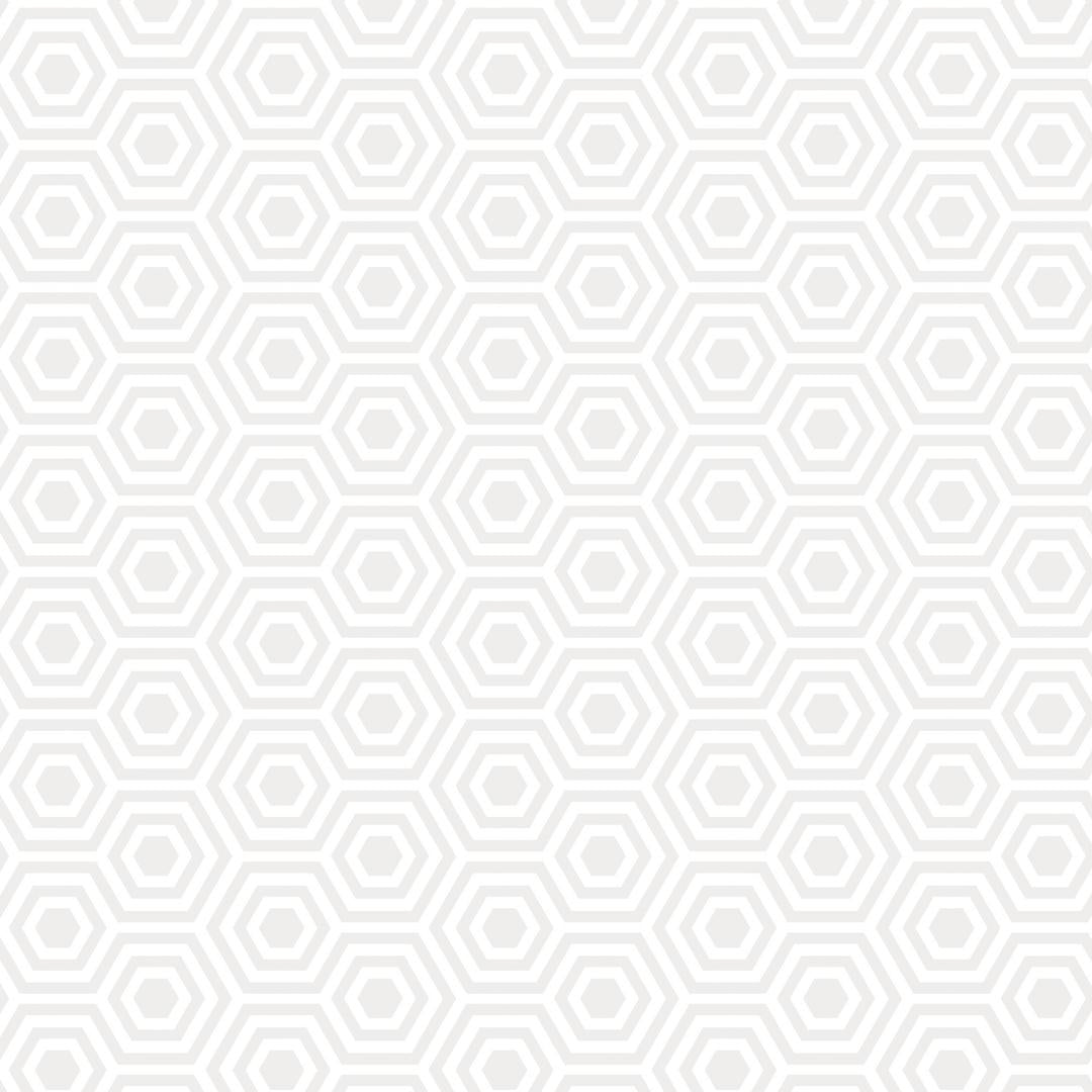 TULA PINK - RE-ORDER 108" SATEEN QUILT BACKS - HEXY XL, Snowfall