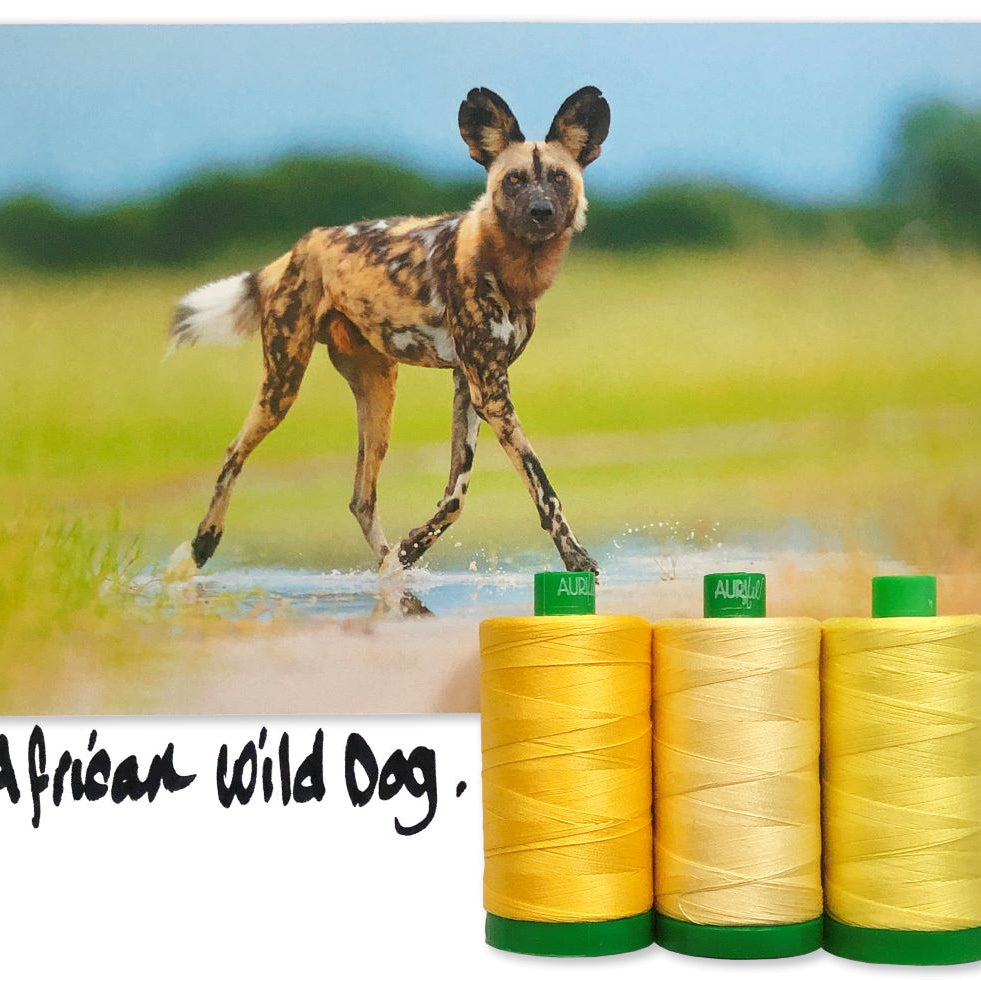 AURIFIL - Thread Color Builder 2021: September - African Wild Dog - Artistic Quilts with Color