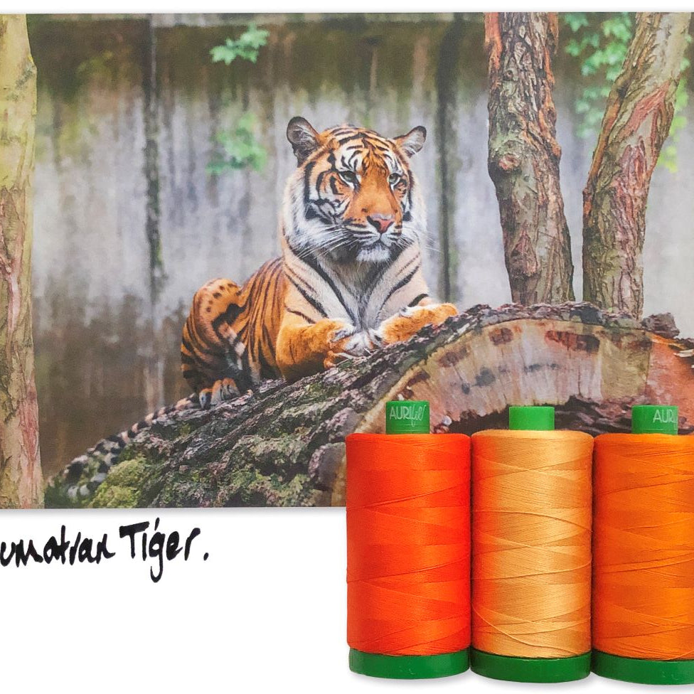 AURIFIL - Thread Color Builder 2021: July - Sumatran Tiger - Artistic Quilts with Color