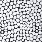 Artistic Quilts with Color Fabric Kaffe Fassett Jumble - White SKU# PWBM053.WHITE