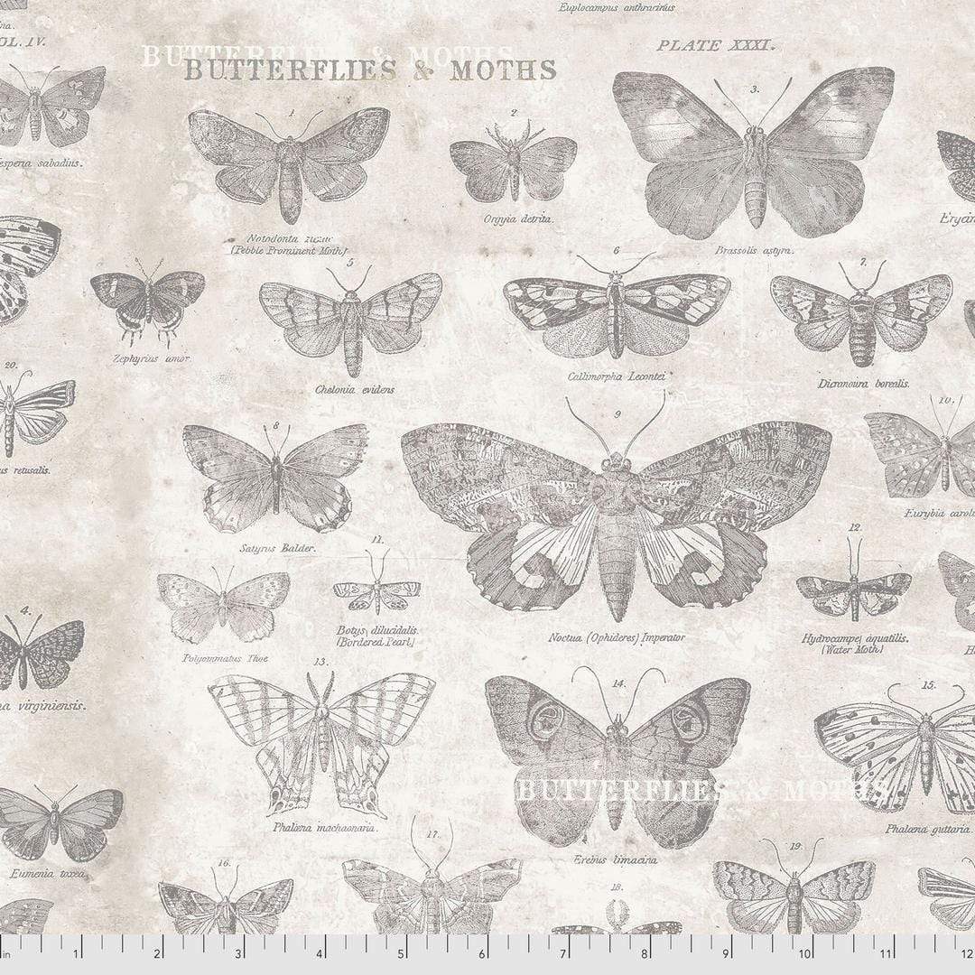 Artistic Quilts with Color Fabric Tim Holtz Eclectic Elements MONOCHROME Butterflies - Parchment SKU# PWTH004.PARCHMENT SHIPPING AUGUST 2021