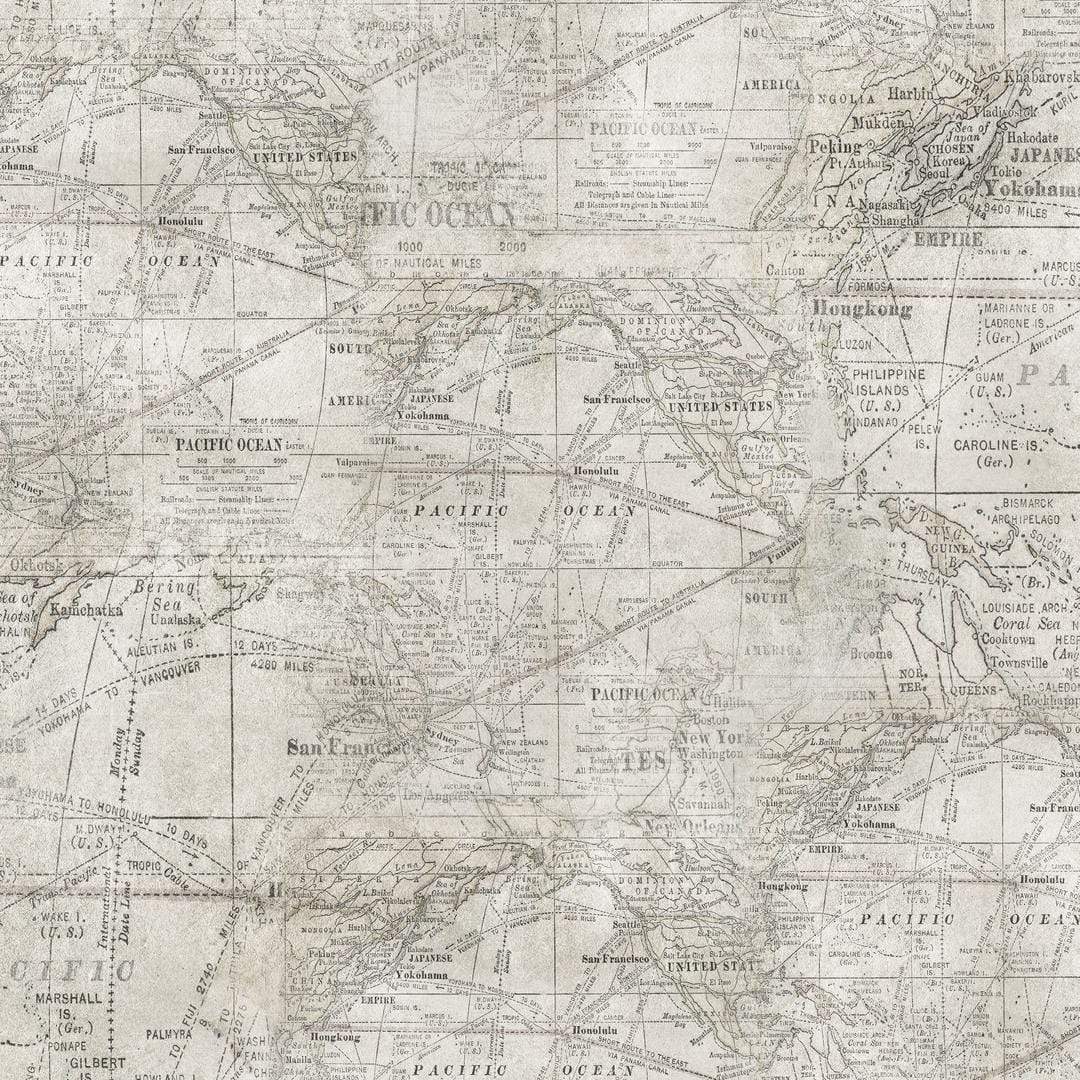 Artistic Quilts with Color Fabric Tim Holtz Eclectic Elements MONOCHROME Expedition - Parchment SKU# PWTH016.PARCHMENT SHIPPING AUGUST 2021