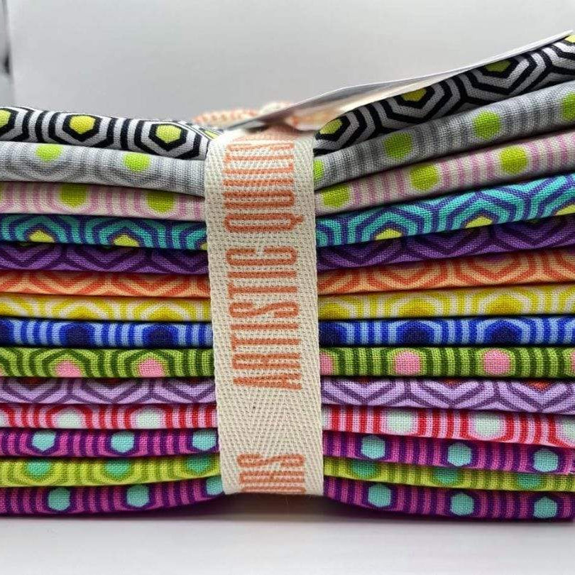 Artistic Quilts with Color Fabric TULA PINK - HEXY - IH Fat Quarter Bundle