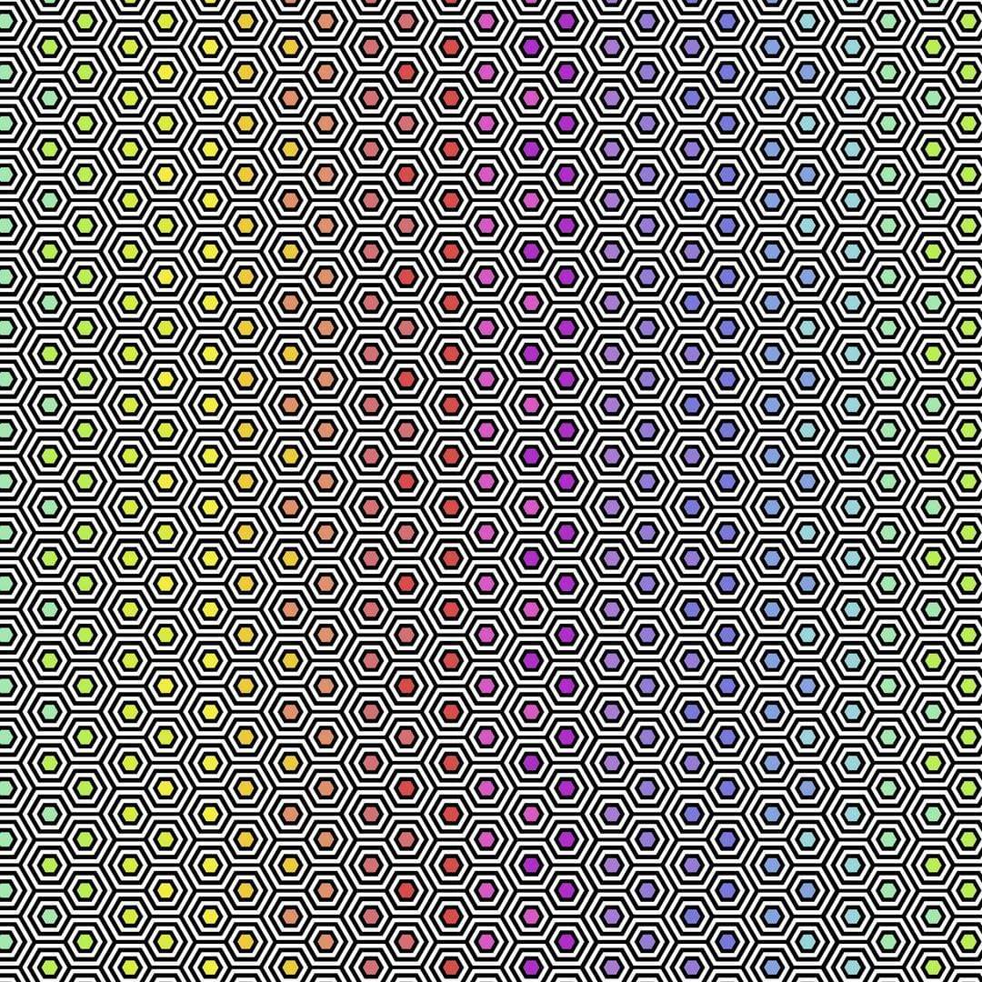 Artistic Quilts with Color Fabric Tula Pink  LINEWORKS - HEXY RAINBOW - SKU #PWTP151.INK