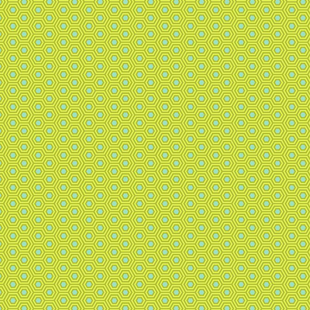 Artistic Quilts with Color Fabric Tula Pink True Colors - Hexy - CHAMELEON SKU #PWTP150.CHAMELEON