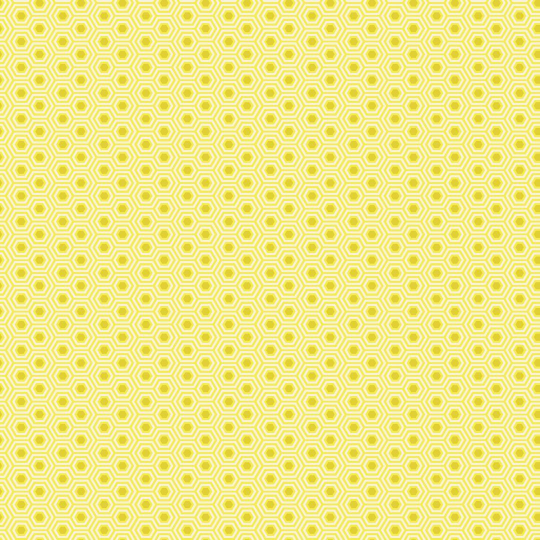 Artistic Quilts with Color Fabric Tula Pink True Colors - Hexy - SUNSHINE SKU #PWTP150.SUNSHINE