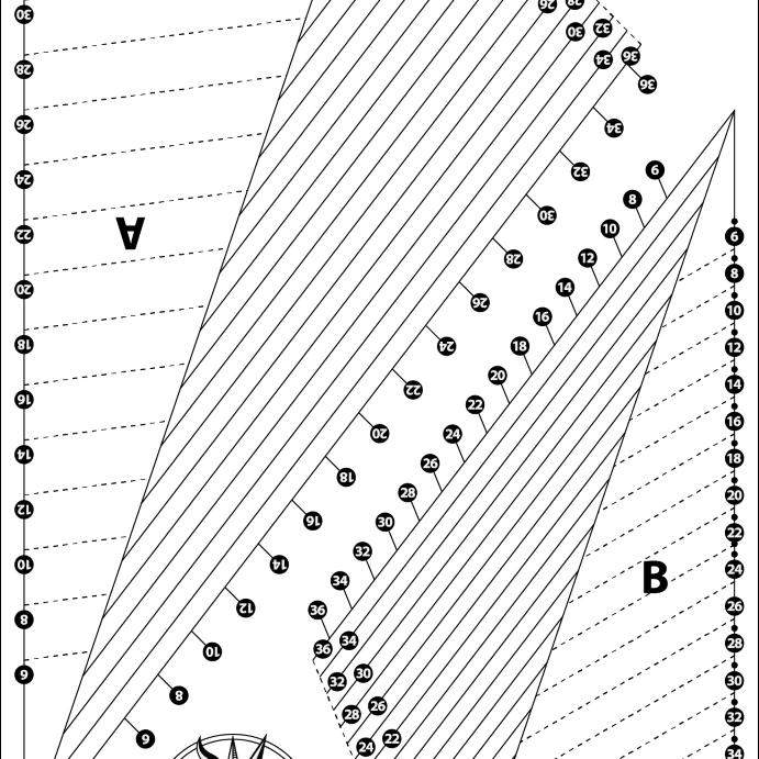 Artistic Quilts with Color FAT ROBIN 16-POINT MARINER'S COMPASS BOOK AND RULER COMBO