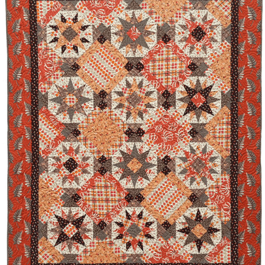 Artistic Quilts with Color FAT ROBIN 16-POINT MARINER'S COMPASS BOOK AND RULER COMBO
