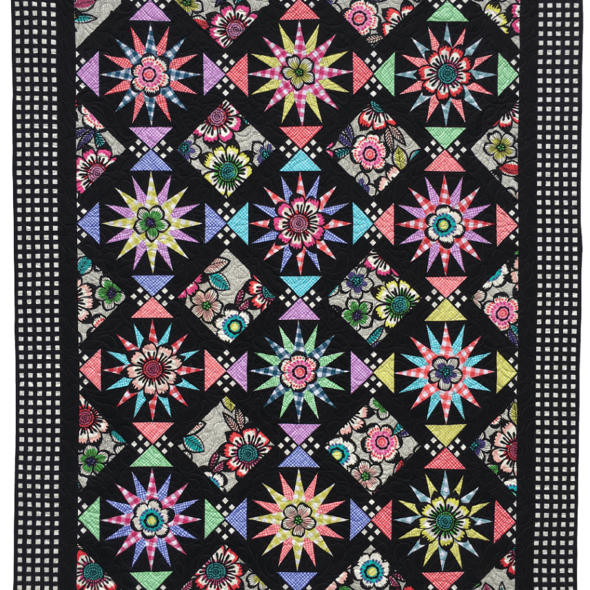 Artistic Quilts with Color SKINNY ROBIN 16-POINT MARINER'S COMPASS BOOK AND RULER COMBO