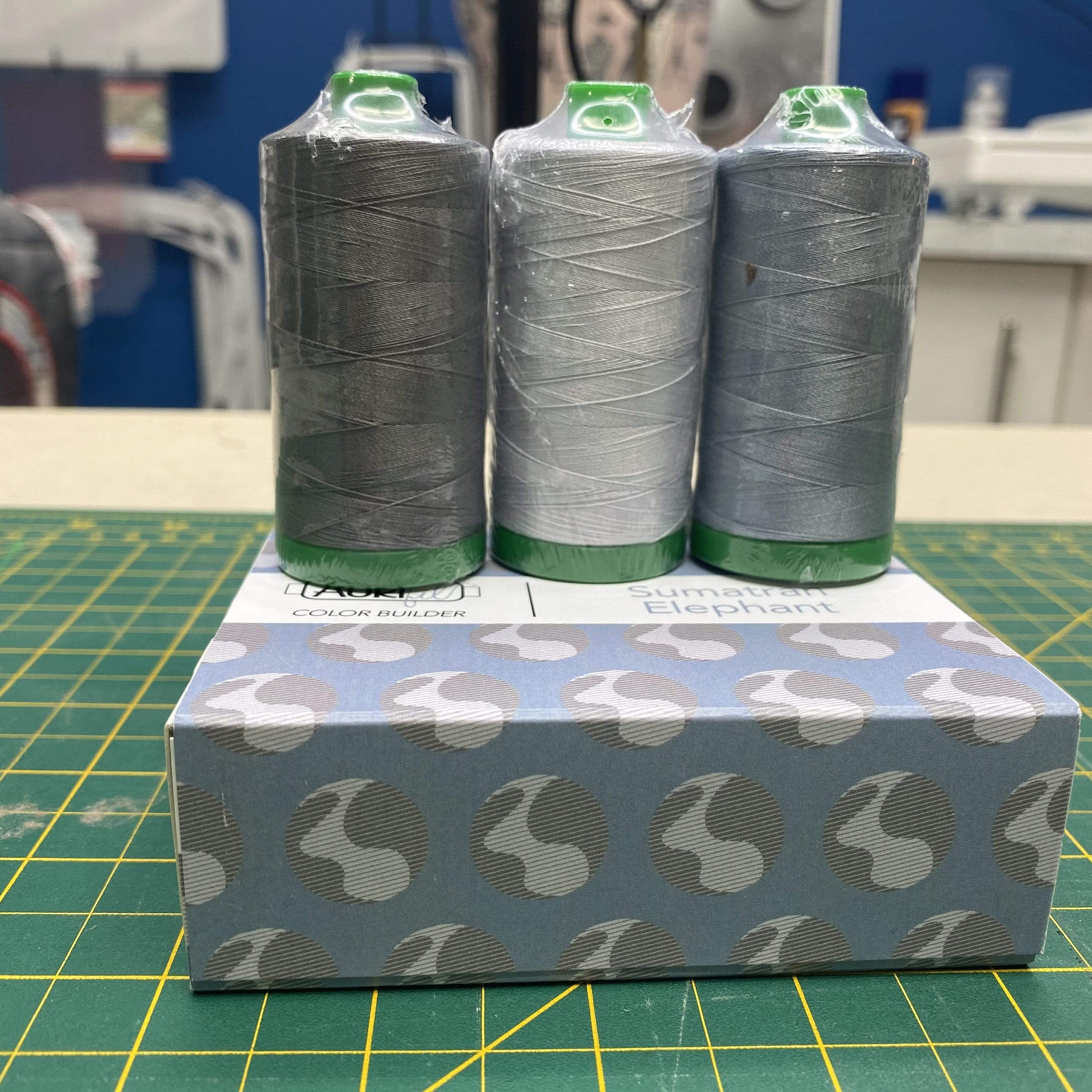 Artistic Quilts with Color Thread 2021 January Sumatran Elephant