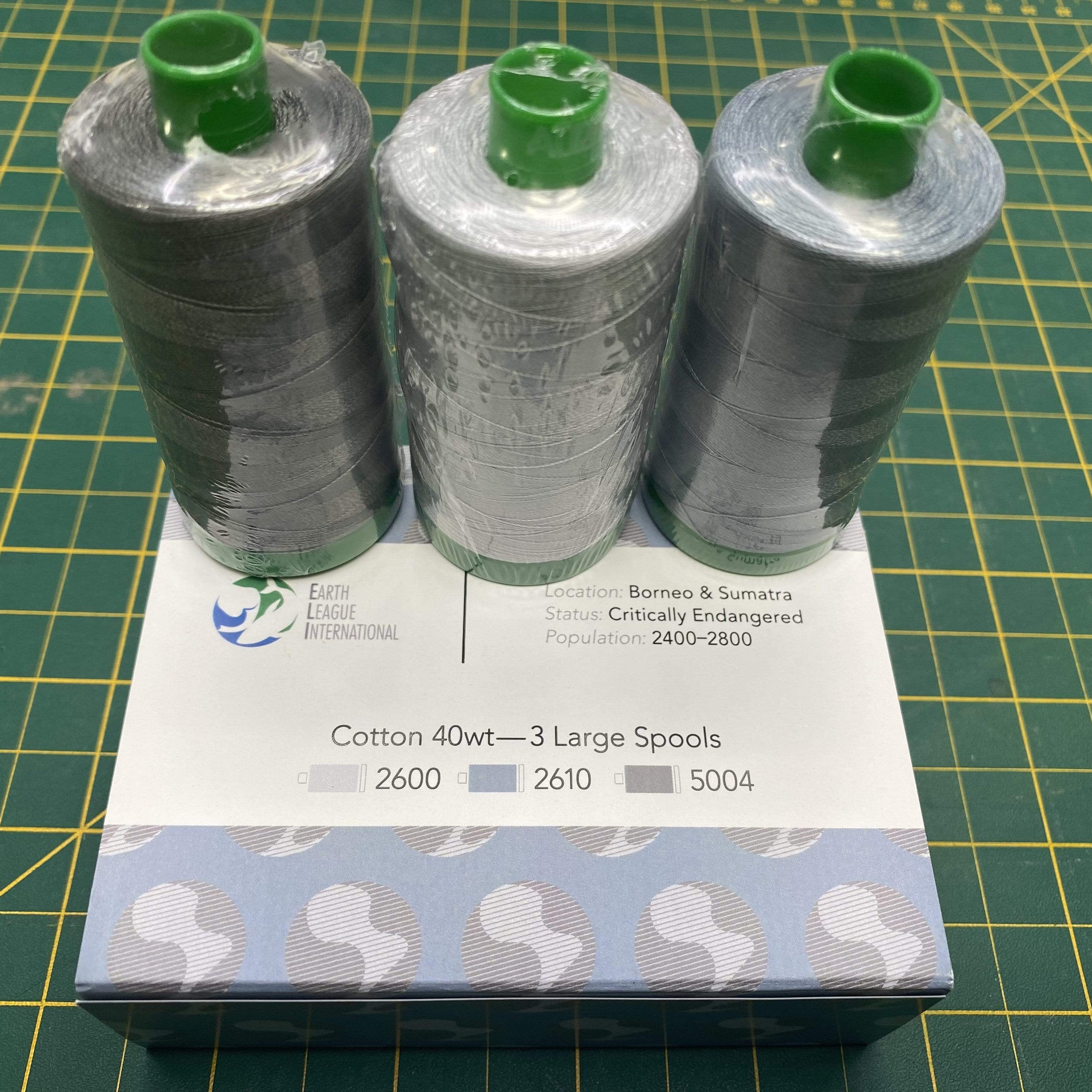 Artistic Quilts with Color Thread 2021 January Sumatran Elephant