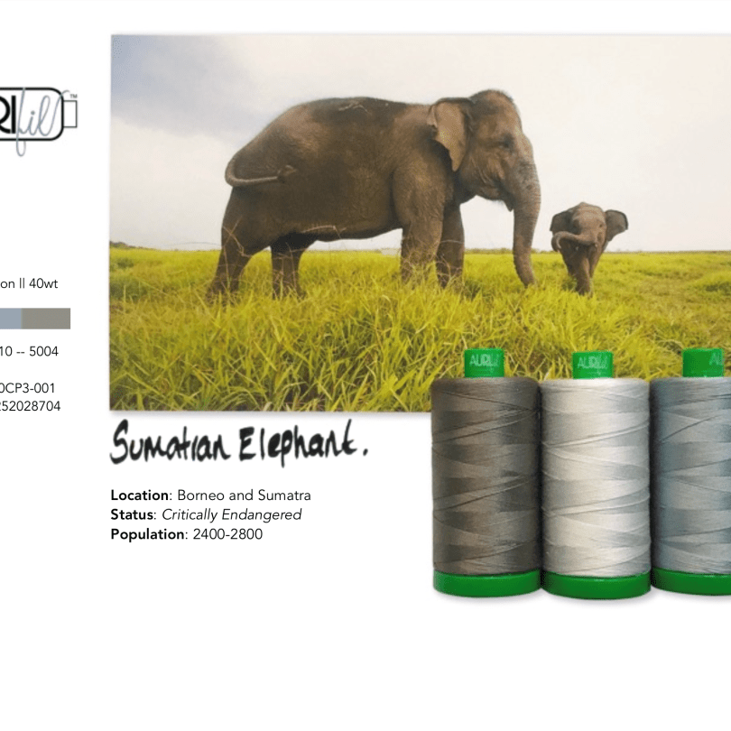 Artistic Quilts with Color Thread Aurifil Thread Color Builder 2021: January - Sumatran Elephant