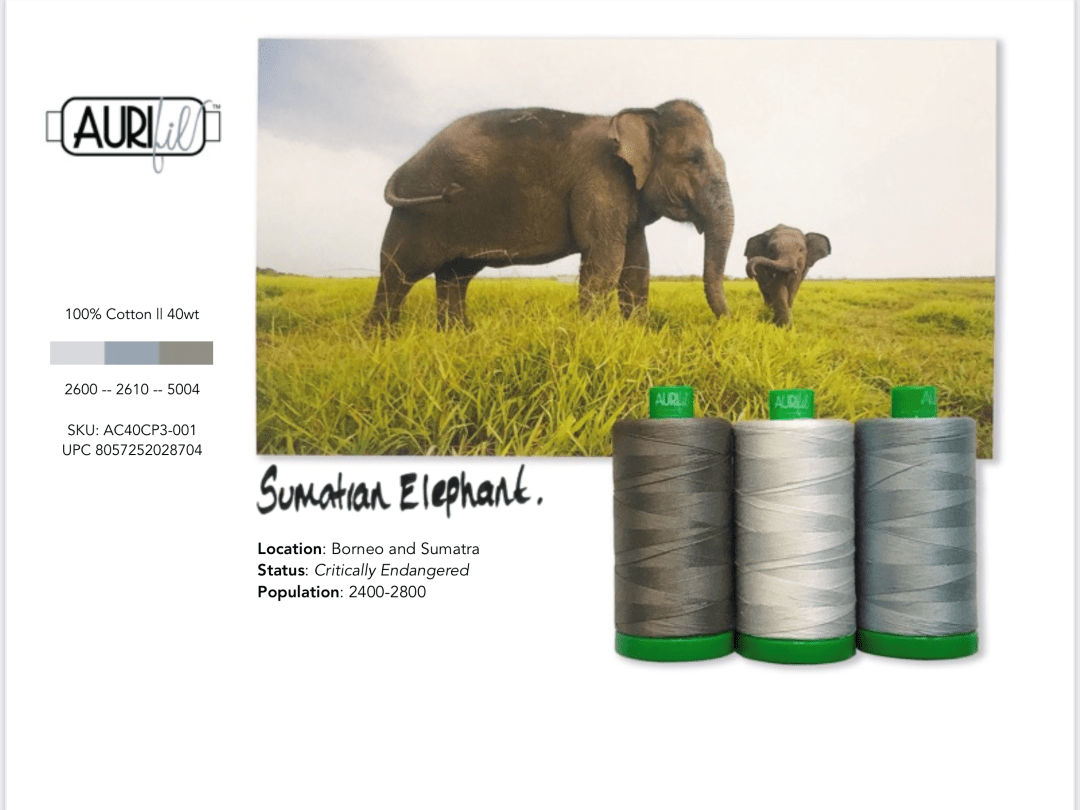Artistic Quilts with Color Thread Aurifil Thread Color Builder 2021: January - Sumatran Elephant