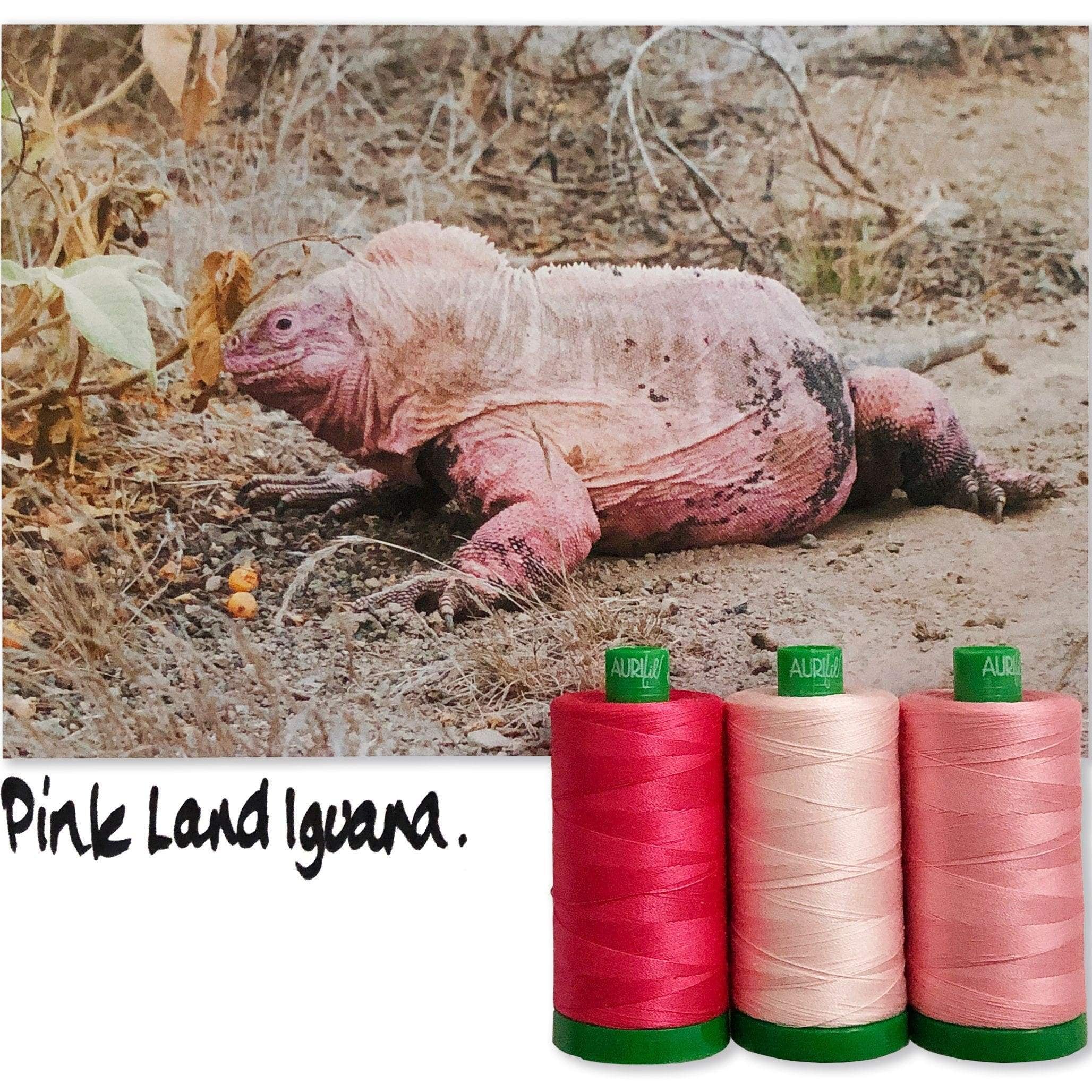 Artistic Quilts with Color Thread Aurifil Thread Color Builder 2021: May + Pink Land Iguana