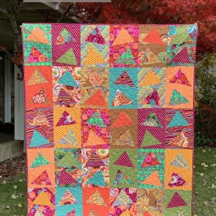 COTTON STREET COMMONS - WILD THING Quilt Pattern - Artistic Quilts with Color