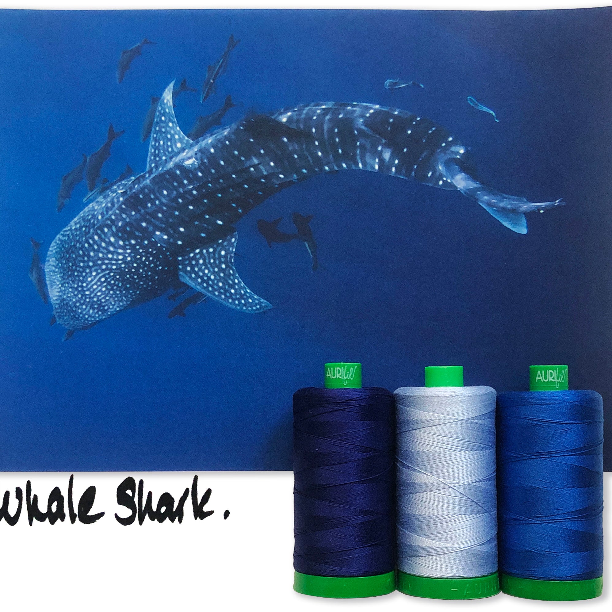 AURIFIL - Thread Color Builder 2021: June - Whale Shark - Artistic Quilts with Color