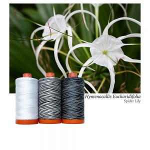 AURIFIL - Thread Color Builder 2022: December - Hymenocallis Eucharidifolia, Spider Lily