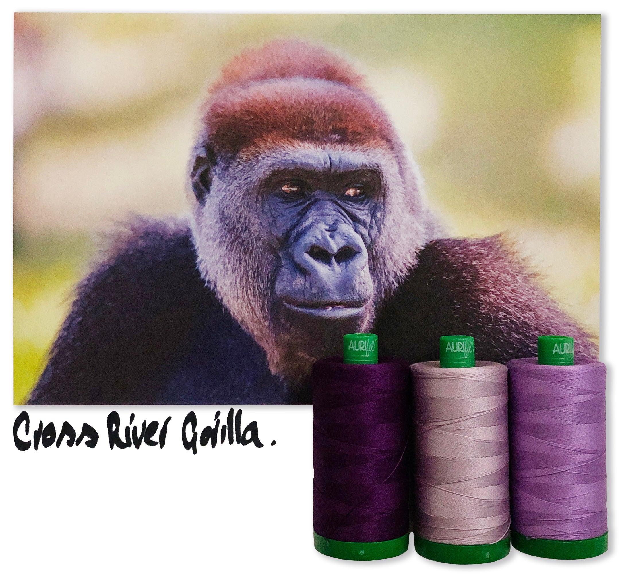 AURIFIL - THREAD COLOR BUILDER 2021: OCTOBER - CROSS RIVER GORILLA