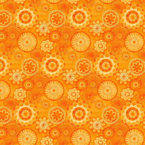 COLOR POP STUDIO - JOY OF COLOR