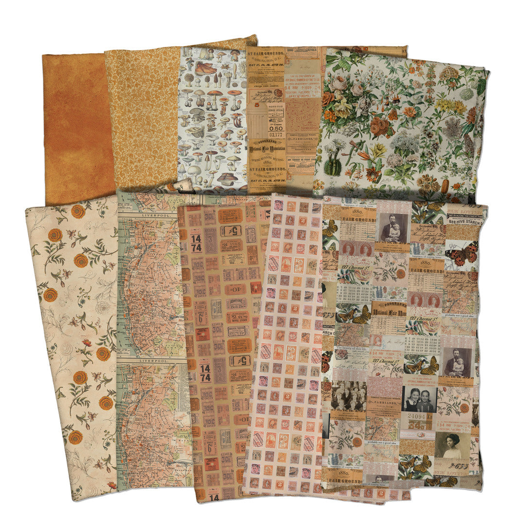 TIM HOLTZ - Palette Program - Palette Orange SHIPPING DECEMBER 2024