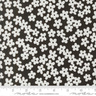 ALLI K DESIGN - True to Hue - Petal Accent Florals, Black As Night 511562-12