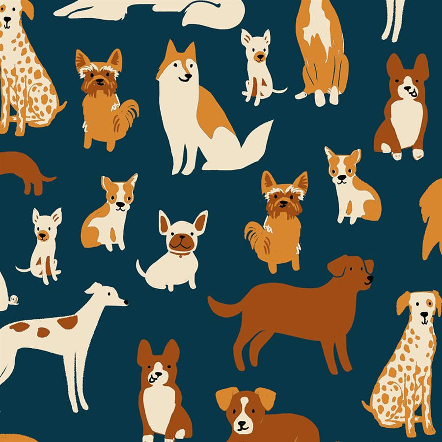 RUBY STAR SOCIETY - SARAH WATTS - DOG PARK, TEAL NAVY