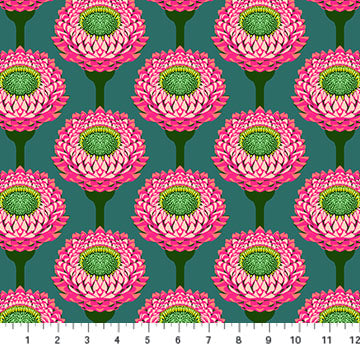 ANNA MARIA HORNER - Iconic - Strawflower, Bursting AMT123-28L