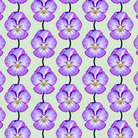 ANNA MARIA HORNER - Iconic - Pansy, Lavender AMT124-83C