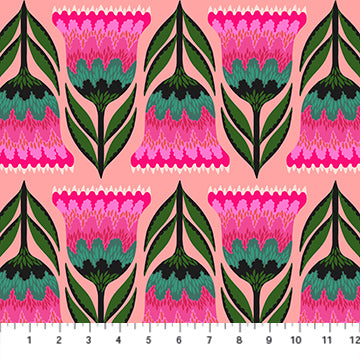 ANNA MARIA PARRY - Jumpstart - Celosia, Punch AMT130-23L